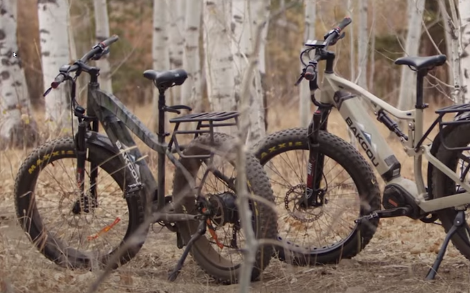The Best Fat Tire Electric Bikes
