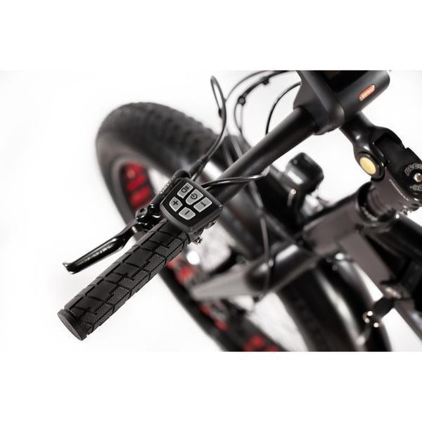 Class 1 Pedal Assist (PAS)(No Throttle)-Really Good eBikes
