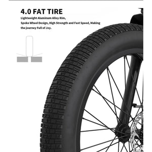 Aostirmotor-Queen-1000W-Low-Step-Fat-Tire-Electric-Bike-Mountain-Aostirmotor-Ebikes-fat-tire-closeup-view