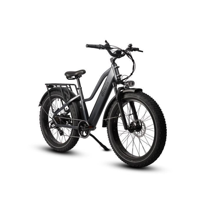 Dirwin-Pioneer-750W-Step-Thru-Fat-Tire-Electric-Bike-Step-Through-Dirwin-Bike