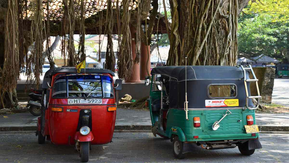 Electric pedicabs