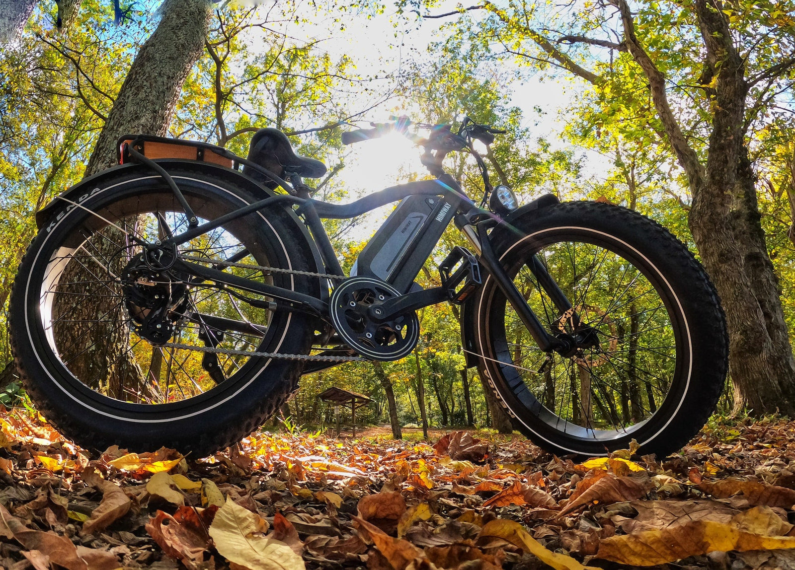 How Long Do EBike Tires Last? Understanding Tire Lifespans & More