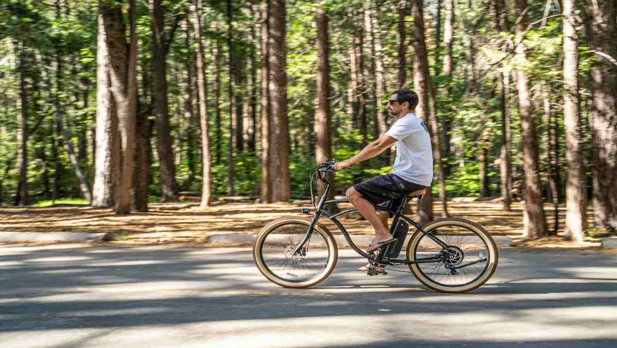 electric bike advantages and disadvantages
