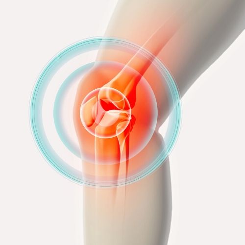 Active Senior Knee Health