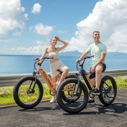two Velowave Electric Bikes