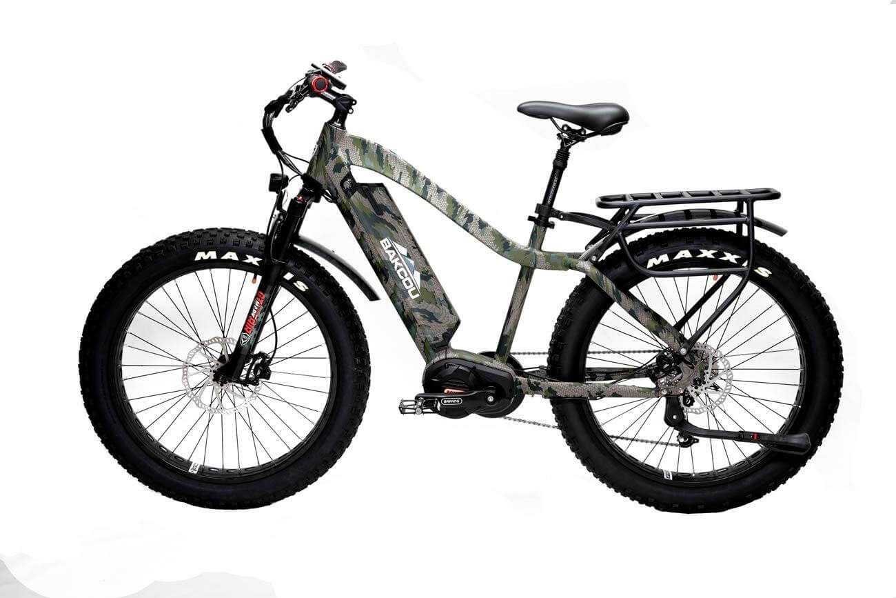Bakcou Electric Bike