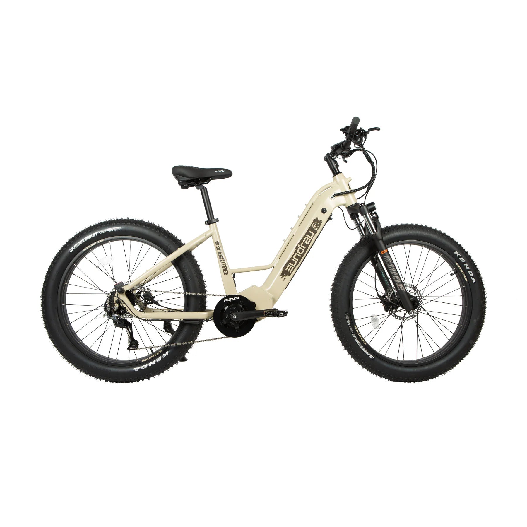 Eunorau FAT-HD 2.0/Hunter X7 1000W 48V/15Ah Fat Tire eBike