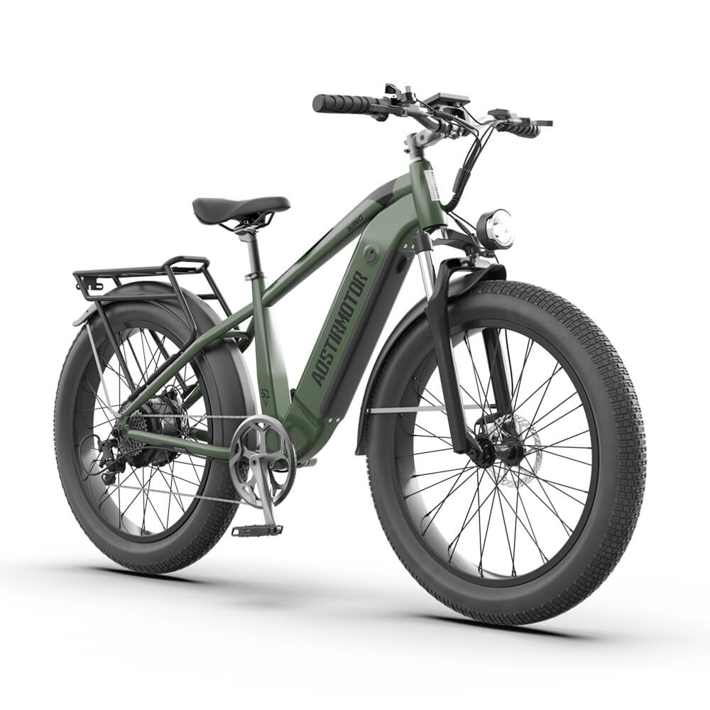 All terrain fat tire electric bike sale