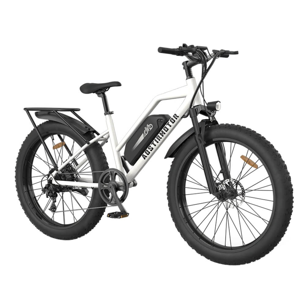 Aostirmotor S07-G 750W Fat Tire Electric Bike Affordable Commuter