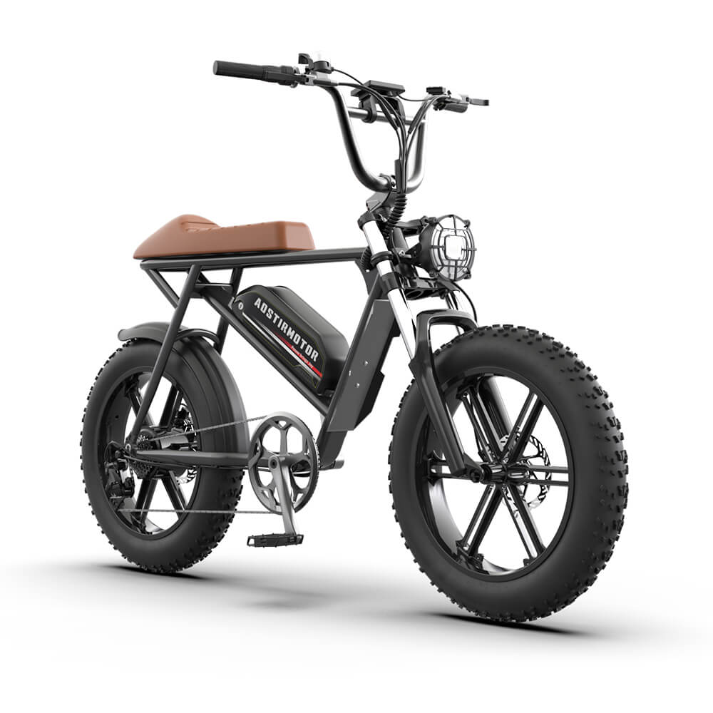 Aostirmotor Storm 750W Fat Tire Electric Bike