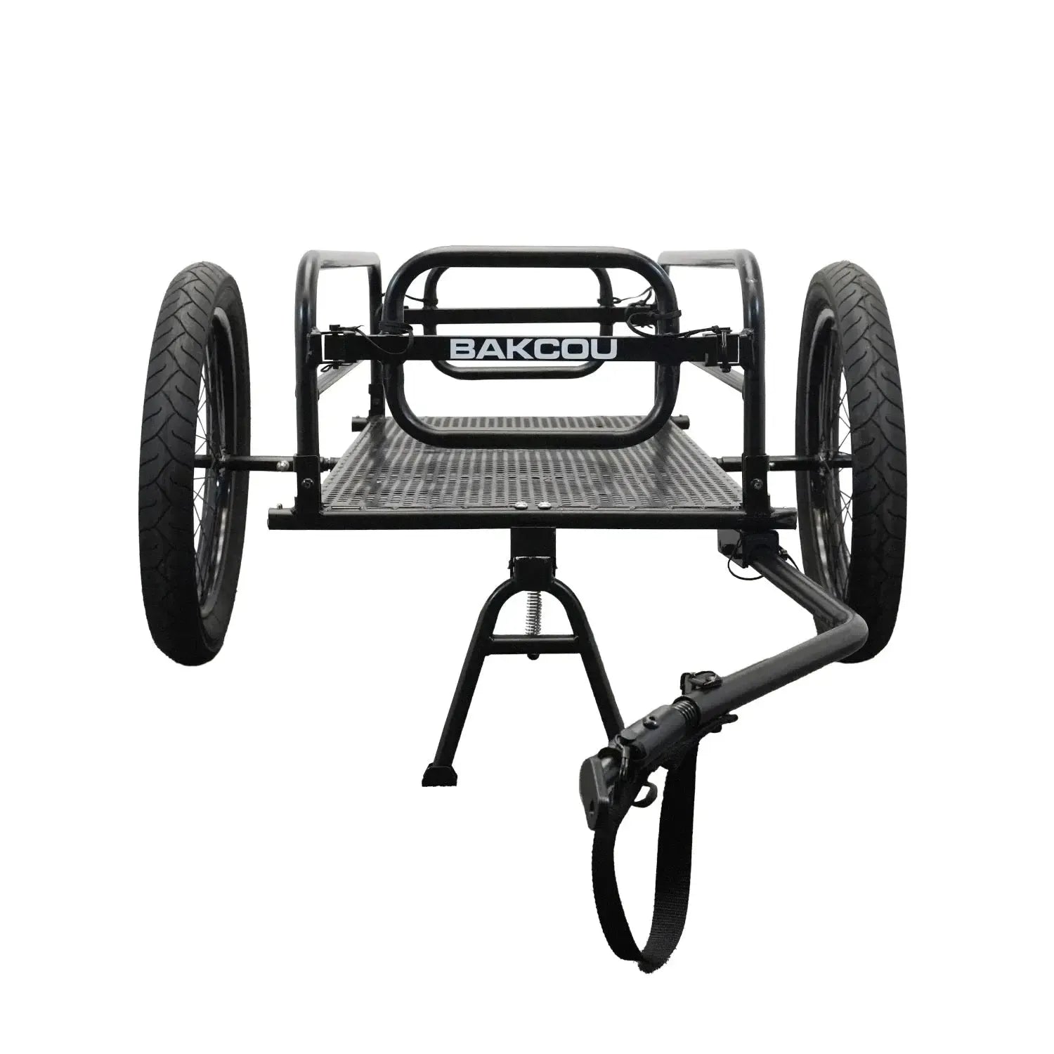 Bakcou FLATLANDER SD Super Duty 52V/20Ah Dual-Speed 750W Hub Motor Step-Through Ebike