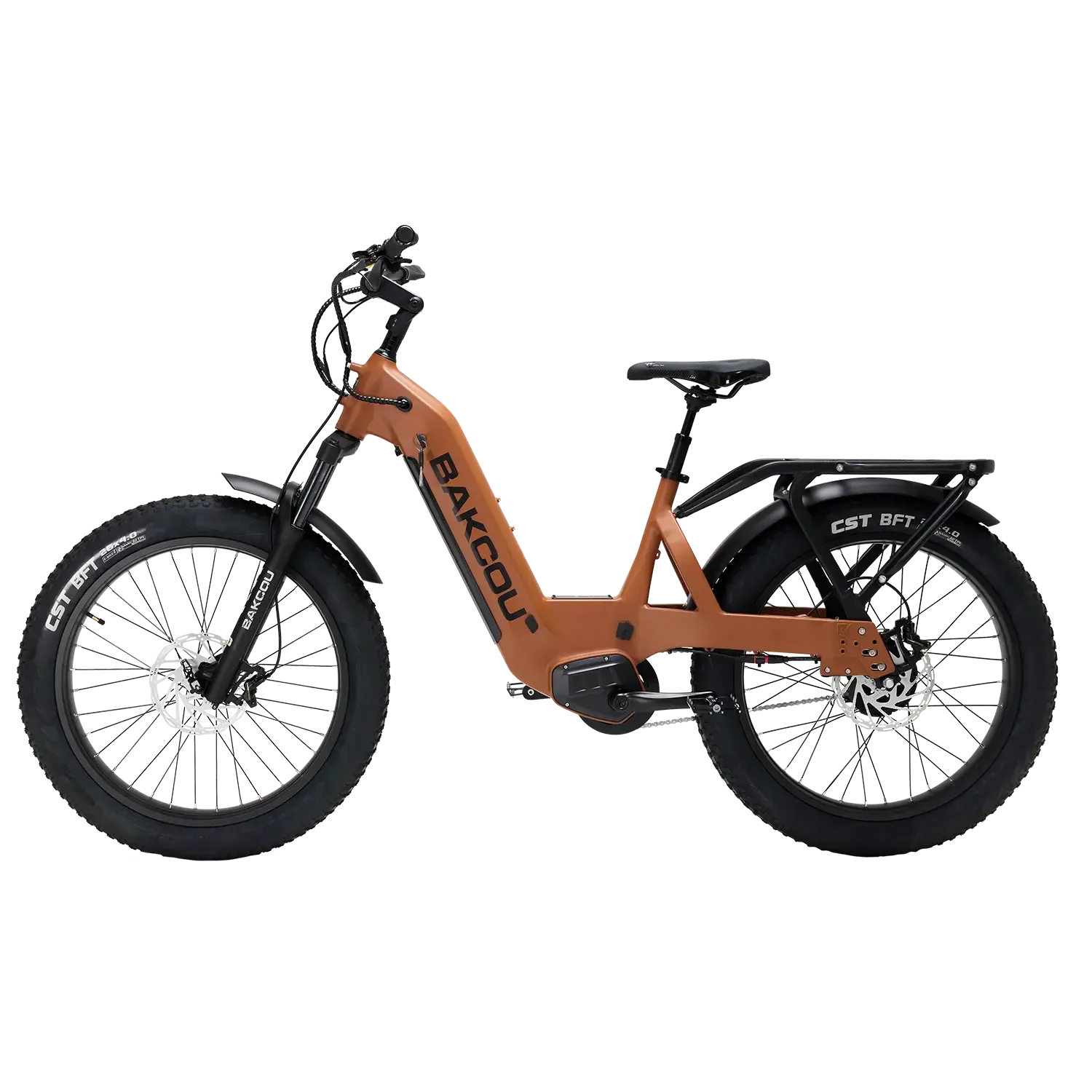 Bakcou FLATLANDER SD Super Duty 52V/20Ah Dual-Speed 750W Hub Motor Step-Through Ebike