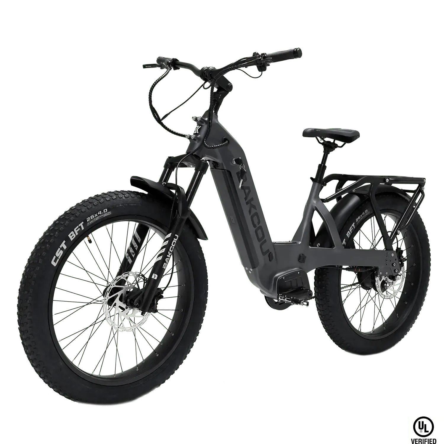 Bakcou FLATLANDER SD Super Duty 52V/20Ah Dual-Speed 750W Hub Motor Step-Through Ebike