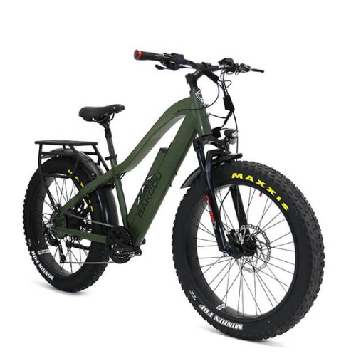 Evo fat online bike