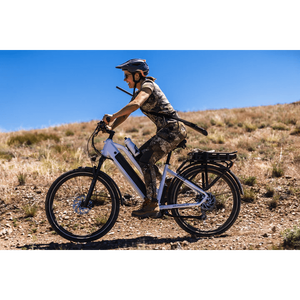 Dirwin Pacer Plus 500W Commuter Electric Bike