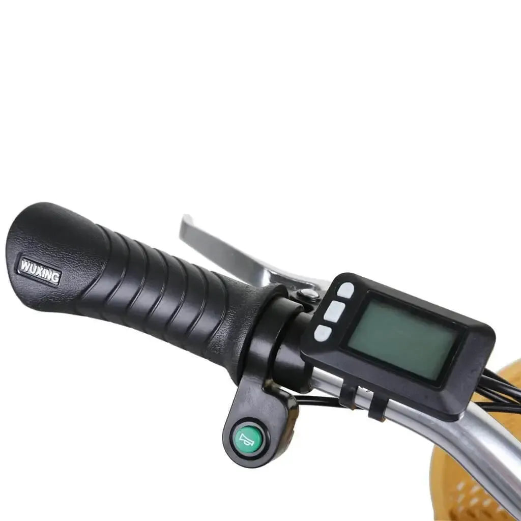Display for Camel 2/ Classic 2/Elegance 2/Mini cruiser 2/ Ranger 2/Cruiser 2
