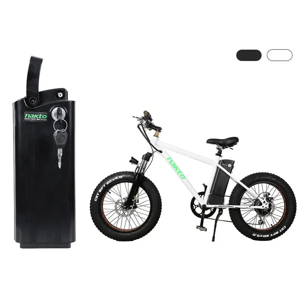 Ebike Battery Replacement for Mini Cruiser