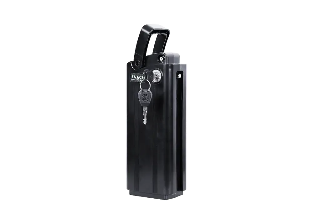 Ebike Battery Replacement for Mini Cruiser