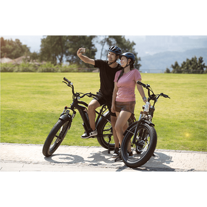 Magicycle 750W Cruiser All Terrain Fat Tire Electric Bike