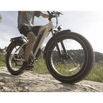 Magicycle 750W Cruiser Pro Fat Tire Electric Bike