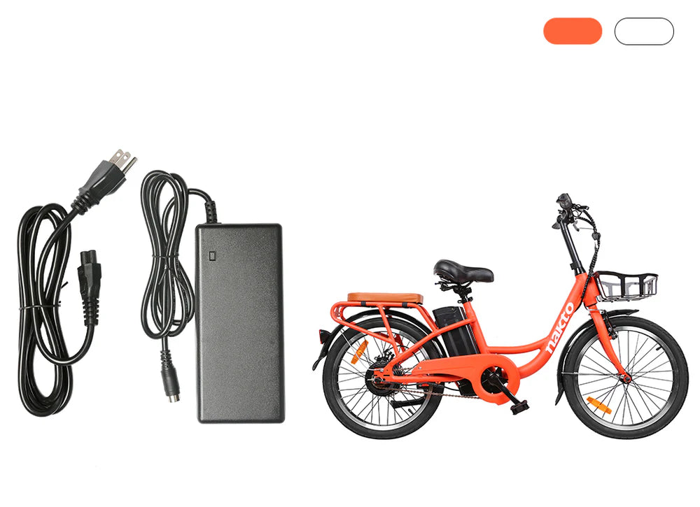 Charger for Nakto Pony