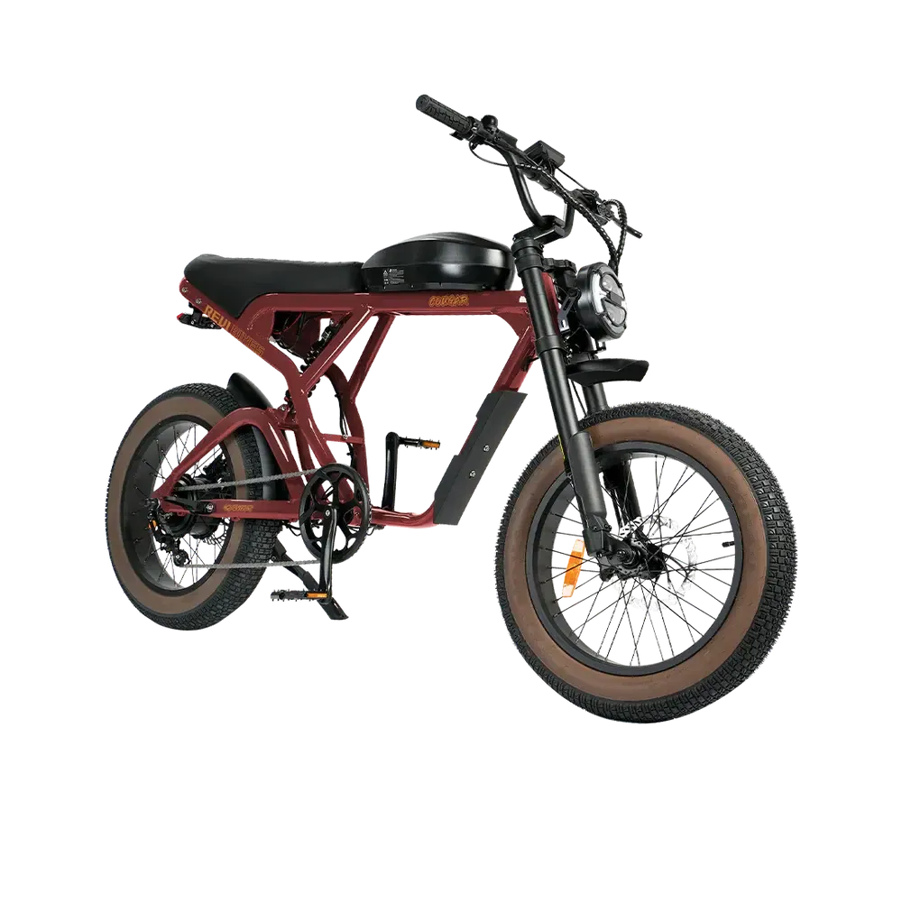 Revi Cougar 750W 52V/20Ah High Speed Racer Electric Bike
