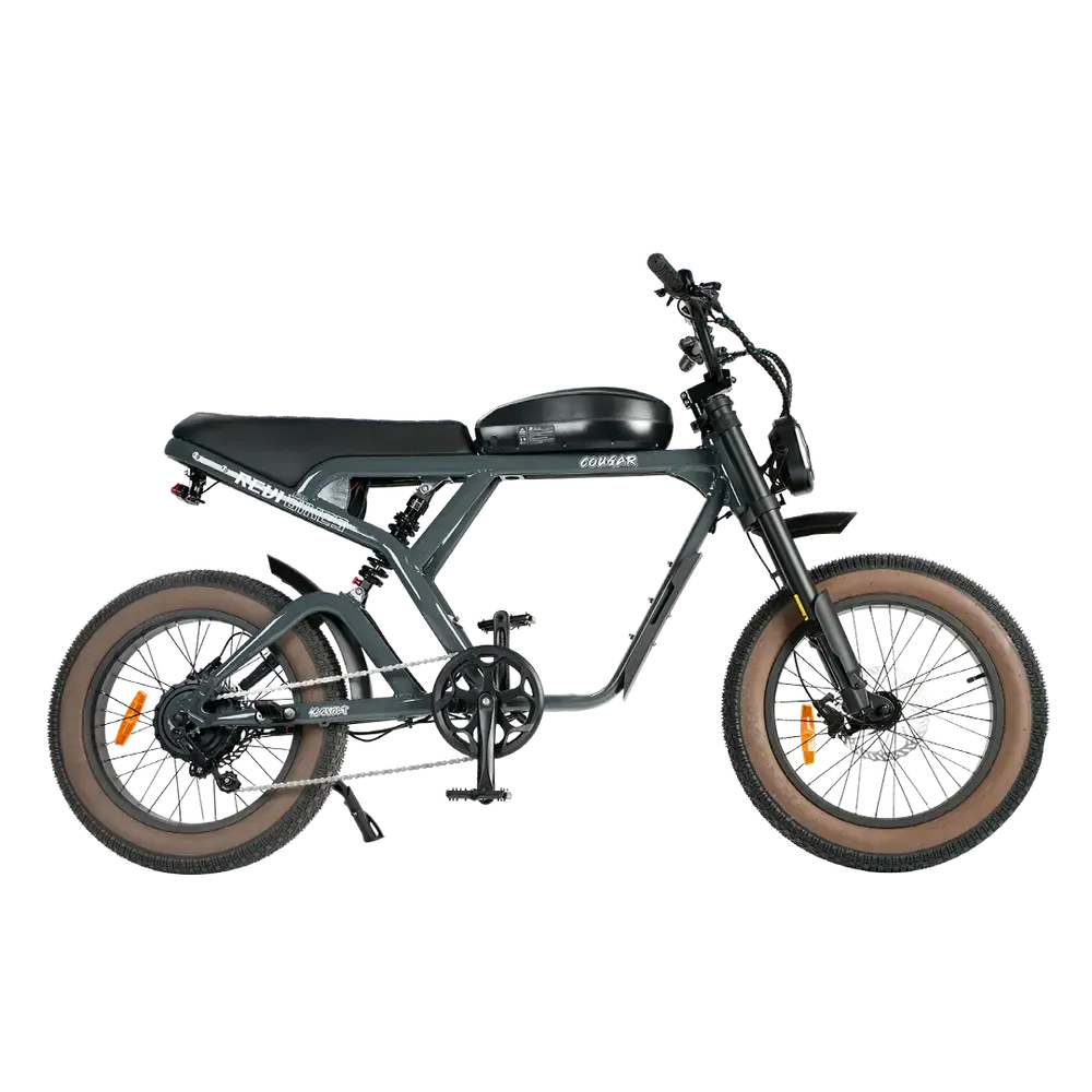 Revi Cougar 750W 52V/20Ah High Speed Racer Electric Bike