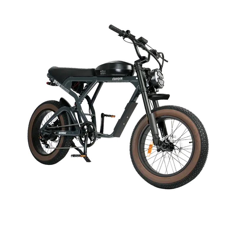 Revi Cougar 750W 52V/20Ah High Speed Racer Electric Bike