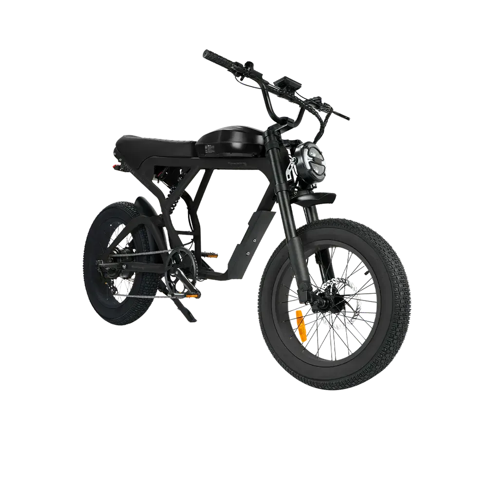 Revi Cougar 750W 52V/20Ah High Speed Racer Electric Bike