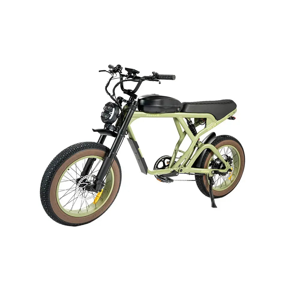 Revi Cougar 750W 52V/20Ah High Speed Racer Electric Bike
