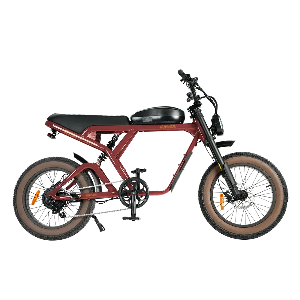 Revi Cougar 750W 52V/20Ah High Speed Racer Electric Bike