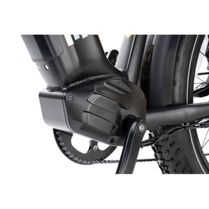 Snapcycle-R1-Pro-750W-Fat-Tire-Electric-Bike-Mountain-Snapcycle-10
