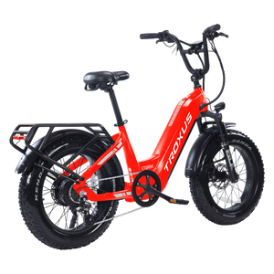 Troxus-Lynx-750W-Low-Step-Fat-Tire-Electric-Bike-Step-Through-Troxus-Mobility - Right Side back Oblique View - Really Good Ebikes 