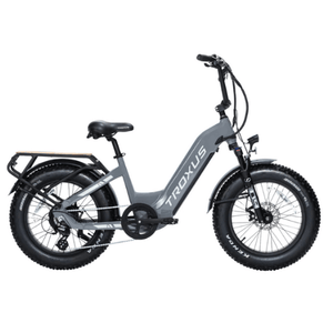 Troxus-Lynx-750W-Low-Step-Fat-Tire-Electric-Bike-Step-Through-Troxus-Mobility-Gray -side  - view 