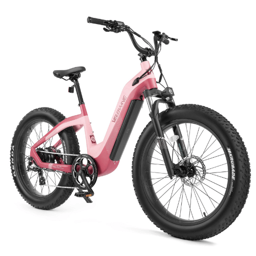 Specialized fat tire ebike sales