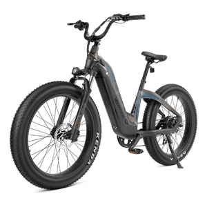 Velowave-Grace-750W-Fat-Tire-Step-Thru-Cruiser-Electric-Bike-fat-Velowave-Ebike-6