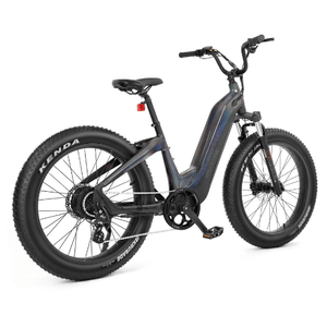 Velowave-Grace-750W-Fat-Tire-Step-Thru-Cruiser-Electric-Bike-fat-Velowave-Ebike-8