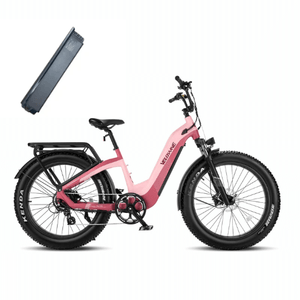 Velowave-Grace-750W-Fat-Tire-Step-Thru-Cruiser-Electric-Bike-fat-Velowave-Ebike-2-Tone-Flamingo-Pink-Rear-Rack-and-Fender-Kit-Extra-48V20Ah-Battery-875-30