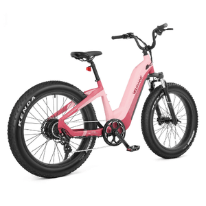 Velowave-Grace-750W-Fat-Tire-Step-Thru-Cruiser-Electric-Bike-fat-Velowave-Ebike-12