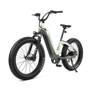 Velowave-Grace-750W-Fat-Tire-Step-Thru-Cruiser-Electric-Bike-fat-Velowave-Ebike-18