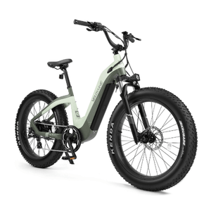 Velowave-Grace-750W-Fat-Tire-Step-Thru-Cruiser-Electric-Bike-fat-Velowave-Ebike-2-Tone-Uniform-Green-None-5