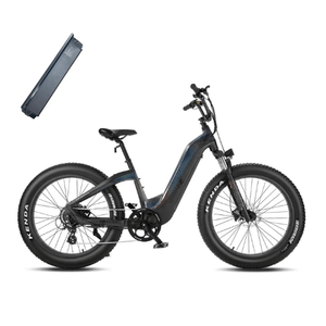 Velowave-Grace-750W-Fat-Tire-Step-Thru-Cruiser-Electric-Bike-fat-Velowave-Ebike-Black-Holographic-Glitter-Extra-48V20Ah-Battery-639-33