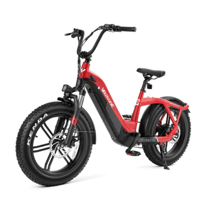 Velowave-Pony-750W-Fat-Tire-Step-Thru-Electric-Bike-fat-Velowave-Ebike-3