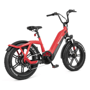 Velowave-Pony-750W-Fat-Tire-Step-Thru-Electric-Bike-fat-Velowave-Ebike-7