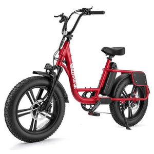 Velowave-Prado-750W-Low-Step-Fat-Tire-Electric-Bike-w-Thumb-Throttle-fat-Velowave-Ebike-6