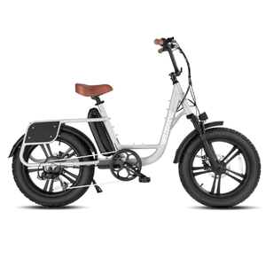 Velowave-Prado-750W-Low-Step-Fat-Tire-Electric-Bike-w-Thumb-Throttle-fat-Velowave-Ebike-Silver-None-5