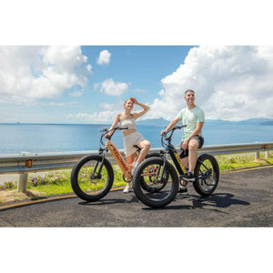 Velowave-Rover-FCTY4-750W-Low-Step-Fat-Tire-Electric-Bike-w-Thumb-Throttle-Step-Through-Velowave-Ebike-11