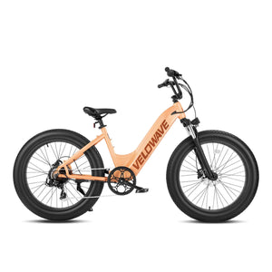 Velowave Rover FCTY4 750W Low-Step Fat Tire Electric Bike w/ Thumb Throttle