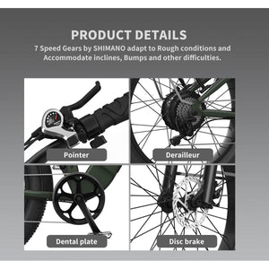 Aostirmotor-King-1000W-Fat-Tire-All-Terrain-Electric-Bike-fat-Aostirmotor-Ebikes-Product-Details
