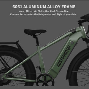 Aostirmotor-King-1000W-Fat-Tire-All-Terrain-Electric-Bike-fat-Aostirmotor-Ebikes-Alloy-Frame